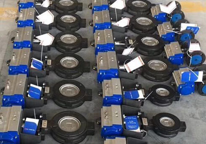 德国博雷阀门是一家专业生产高性能蝶阀的阀门企业